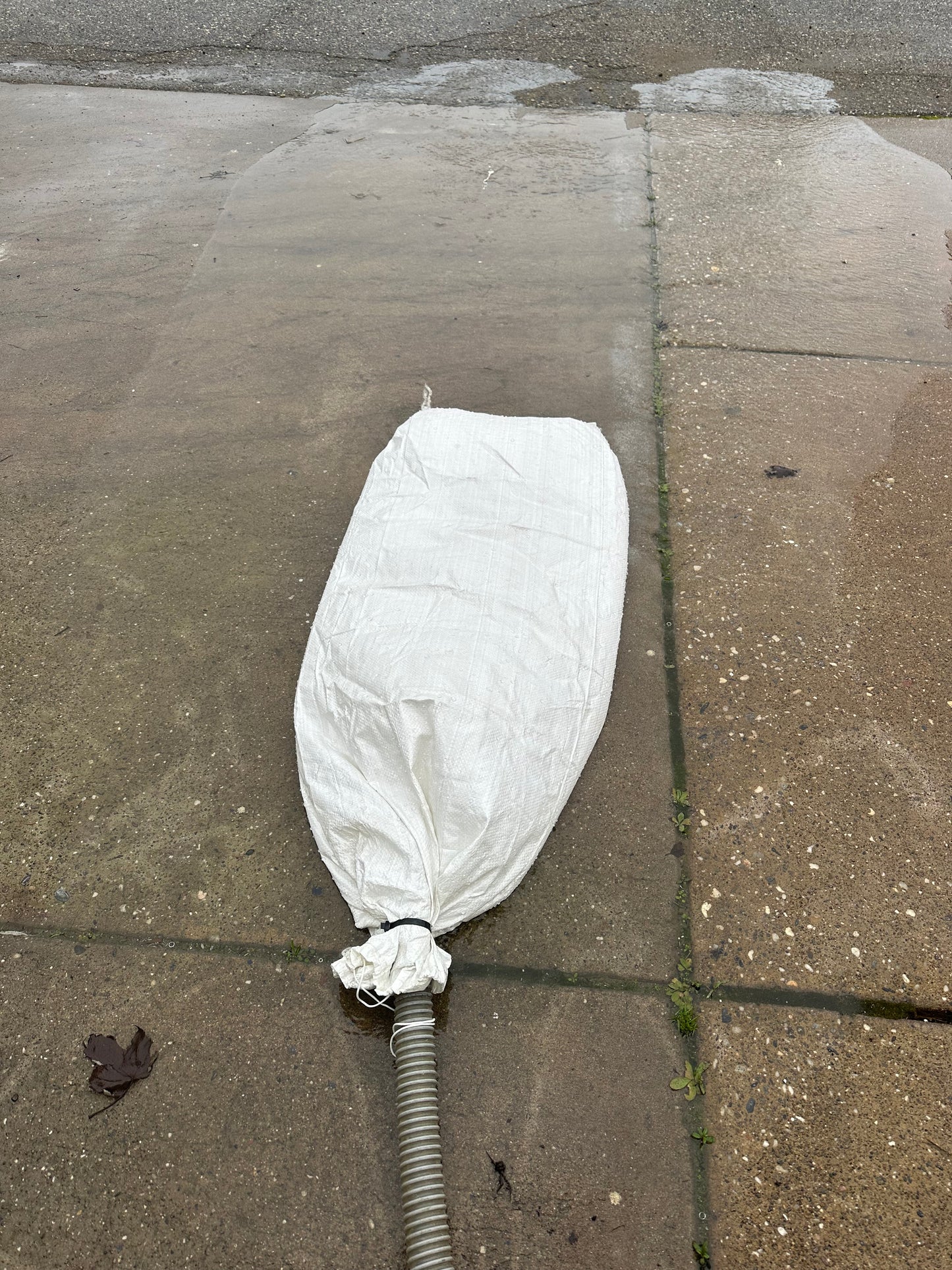 Sludge Dehydrator Bags